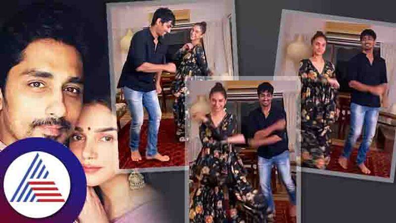 Pics Of Aditi Rao Hydari And Siddharth That Are Absolute Goals