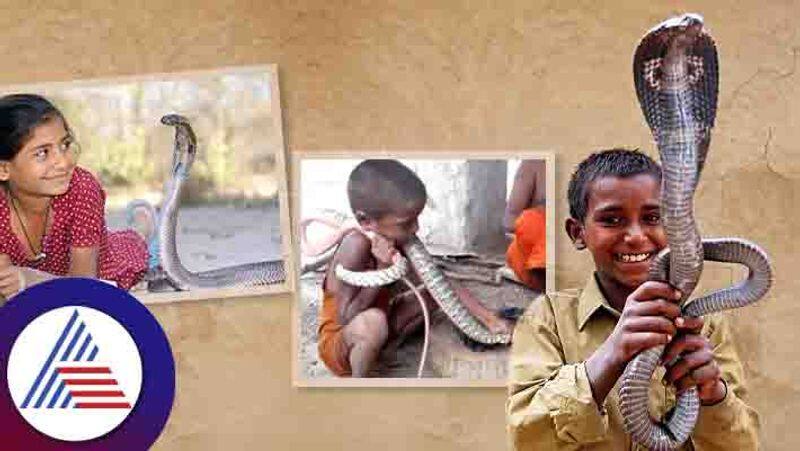 The Snake Village of India where People treat snake like a pet skr