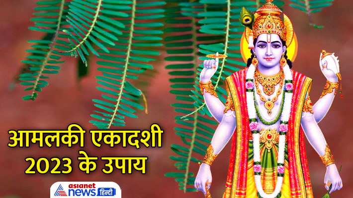 आमलकी एकादशी पर करें ये उपाय... आमलकी एकादशी पर करें ये उपाय...