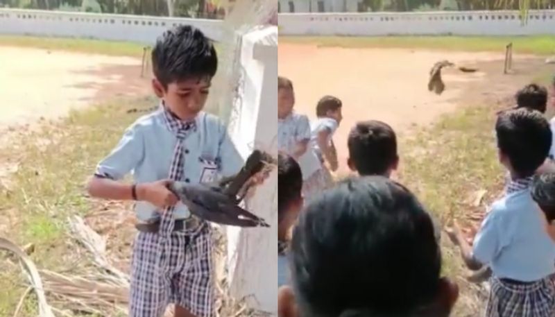 school kid saves crow that stuck in a net hyp 