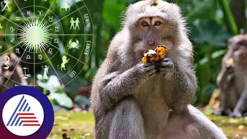 Significance Of Feeding Roti To Monkey 