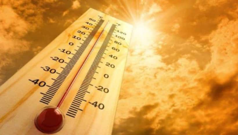 Kerala: Temperature soars in state; Authorities issue heatwave warnings, precautions