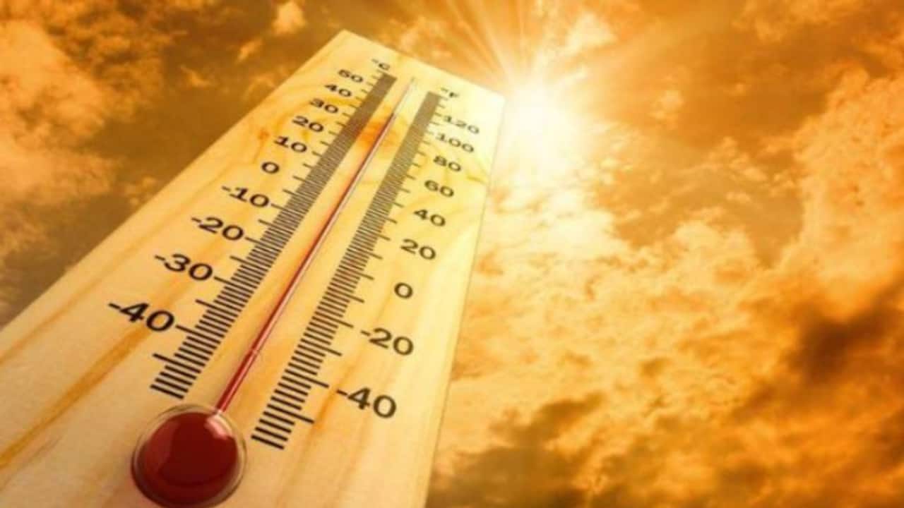 Kerala: State disaster management issues advisory to public as temperature soars in state