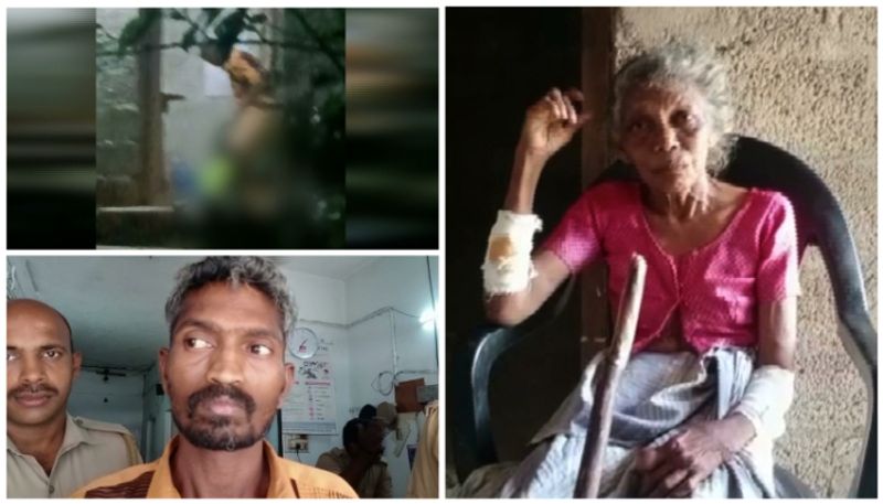 video of a kollam native son beating his mother apn 