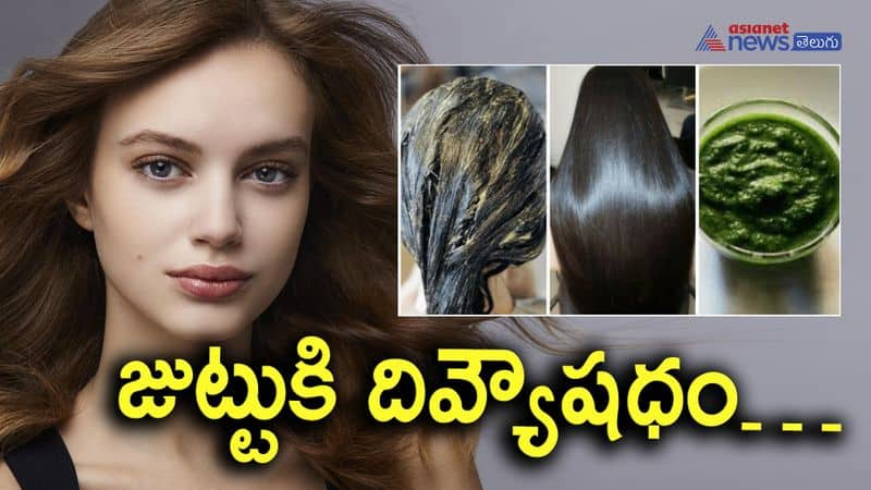 Curry leaves for hair growth-how to use-know full details