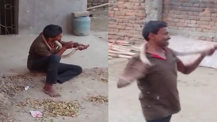 nawada news viral video drunk youth playing and kissing snake died by snake bite 