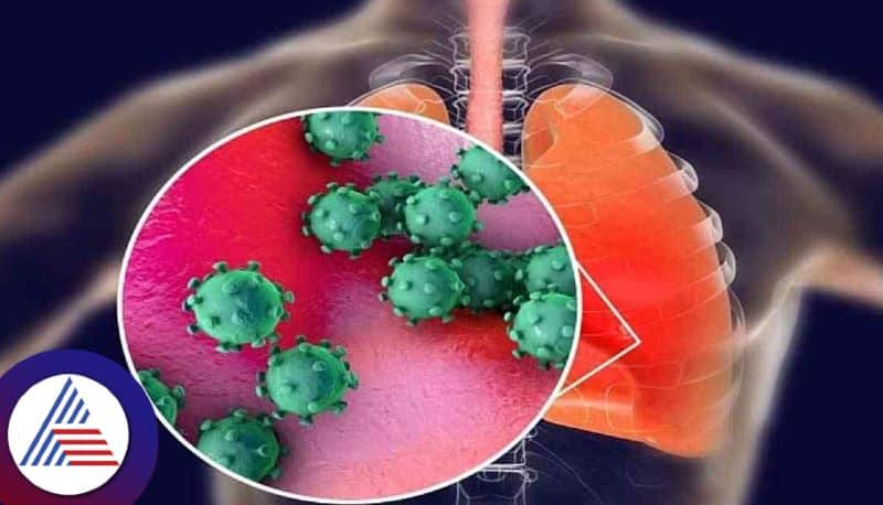 Widespread fever and cough throughout the country Caused by H3N2 virus, ICMR Vin