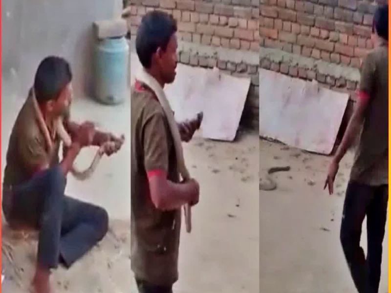 Drunken youth dies of snakebite in dry state of Bihar while kissing the reptile