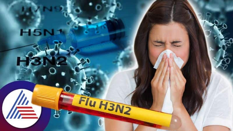 h3n2 influenza h3n2 virus scare after covid 19 suh