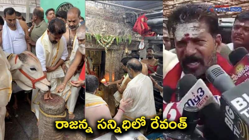 TPCC Chief Revanth Reddy Visits Vemulawada Rajanna Temple