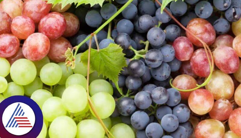 Health tips, Green, black or red grapes, Know which is the healthiest of them all Vin