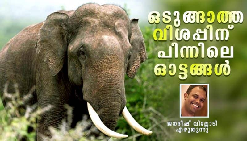 Endangered Elephants in kerala article by Jagadheesh villodi bkg