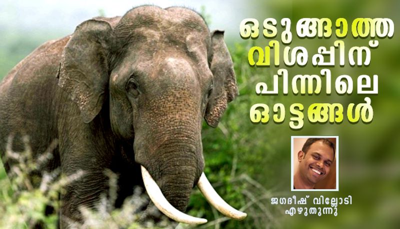 Endangered Elephants in kerala article by Jagadheesh villodi bkg