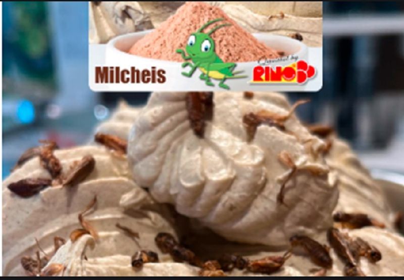 Germany Restaurant made Insect flavoured Ice cream watch video akb