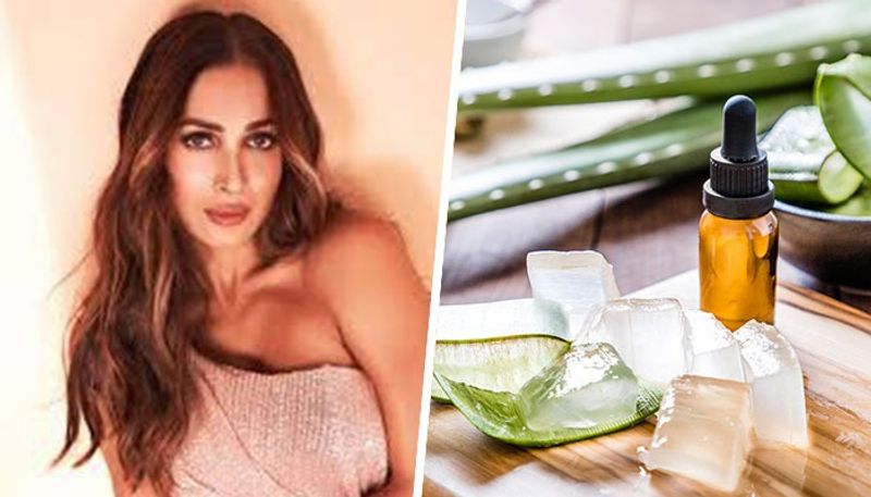 Skincare tips: Know Malaika Arora's secret ingredient for youthful and flawless skin RBA