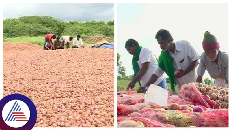 Chitradurga onion growers worries about  onion Price fall down gow