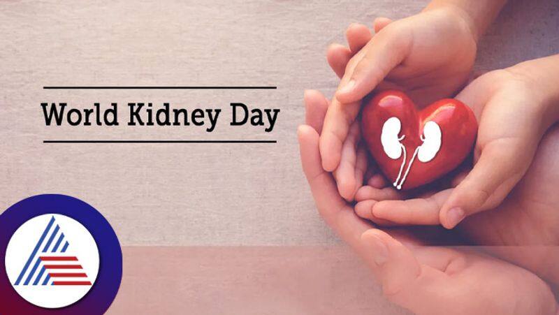 World Kidney Day 2023, History, significance and theme Vin