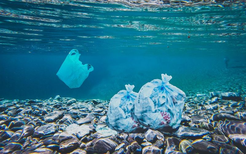 Over 170 Trillion Plastic Particles Found In Oceans, Could Nearly Triple By 2040: Study