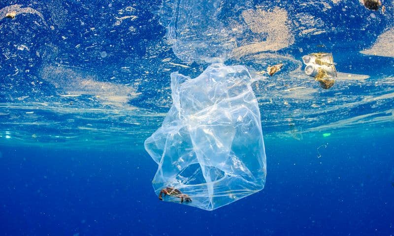 Over 170 Trillion Plastic Particles Found In Oceans, Could Nearly Triple By 2040: Study