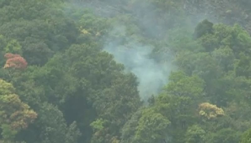 Forest Fire in Chikkamagaluru Forest grg