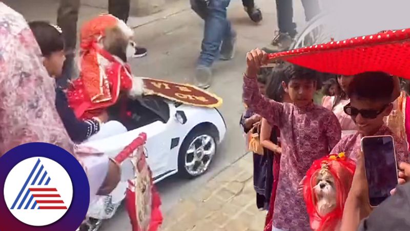 Family Gets Their Dogs Married In A Grand Ceremony