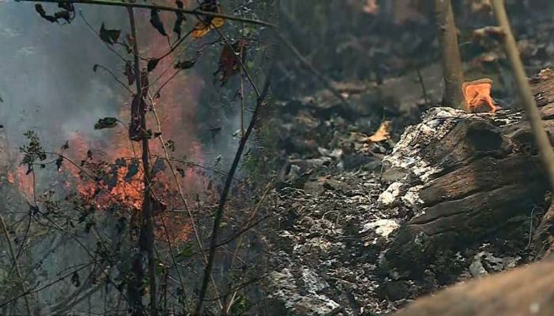 wild fire at Thrissur more than 100 acre  of forest land was burnt jrj