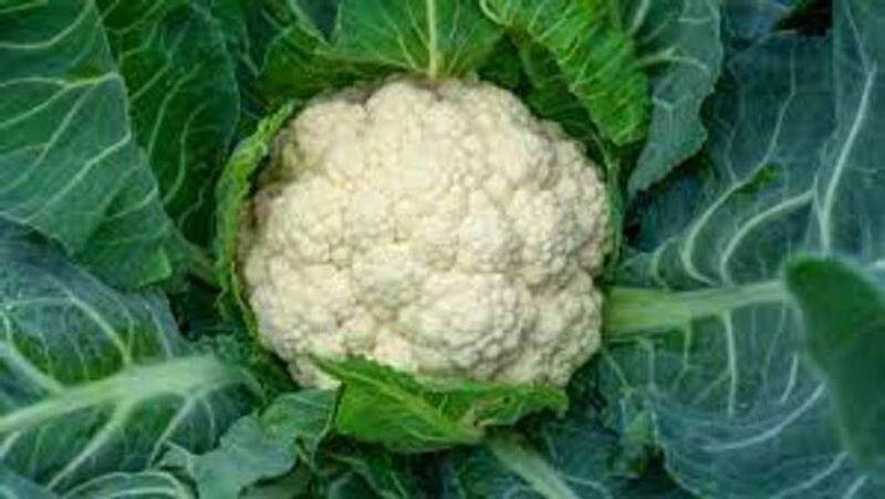 Amazing Health Benefits of Cauliflower Leaves in Tamil