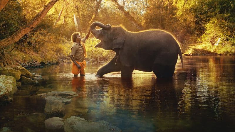 oscars 2023 the elephant whisperers wins best documentary short subject ash