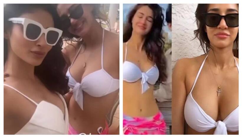 Are Mouni Roy and Disha Patani the new BFFs of Bollywood? Here's how netizens react to their bikini photos 