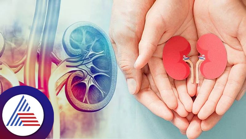 Waiting Time For Kidney Transplant Is Four Years 