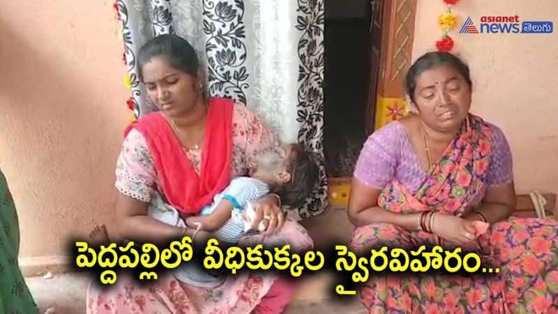 Three years child injured in street dog attack at Odela Village Peddapalli Dist 