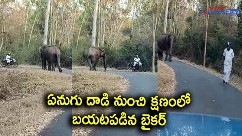 Viral video: Biker escaped from elephant's attack at Chamarajanagar