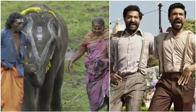 Karnataka link to oscar winning the elephant whisperers and RRR film sgk