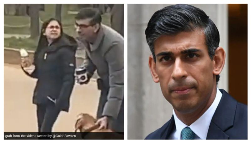 UK PM Rishi Sunak in trouble over his dog