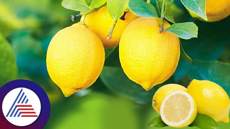 Try these lemon tips to get rid from money problem 