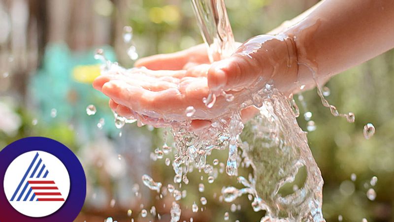 How to stop wasting water in summer