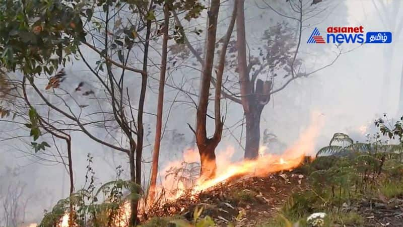 Forest fire breaks out in Kodaikanal hills