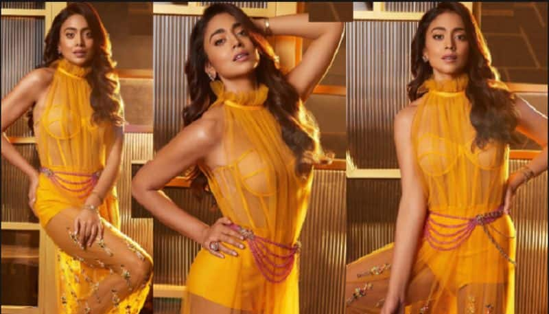 is Shriya Saran Demanding A huge sum For Item Song sgk