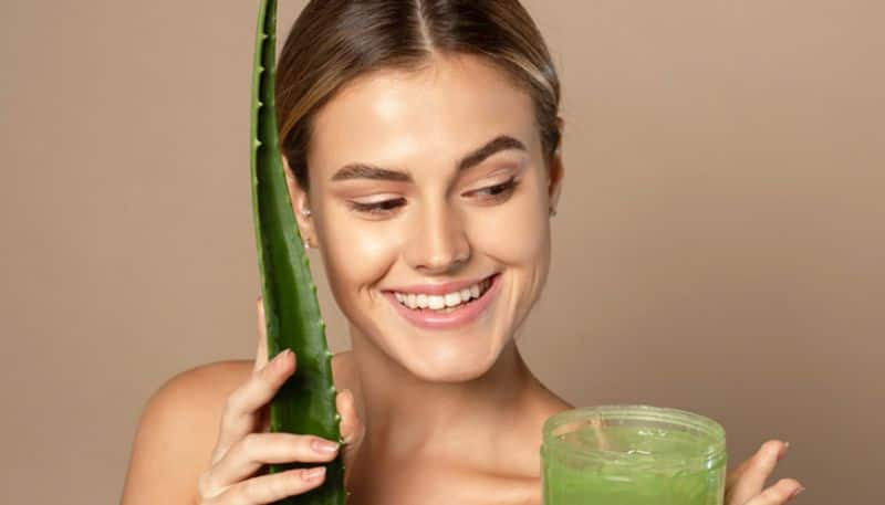 Aloe vera gel helps prevent hair loss in summer