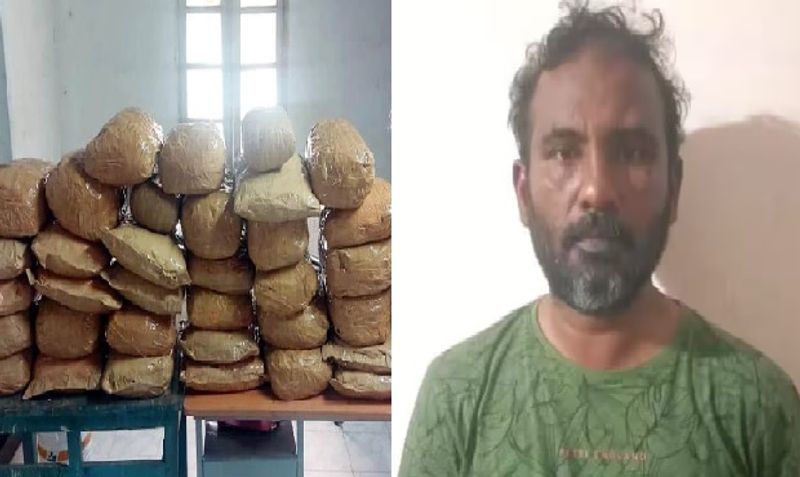 madurai couple smuggled ganja in the car and shocking information revealed in the investigation