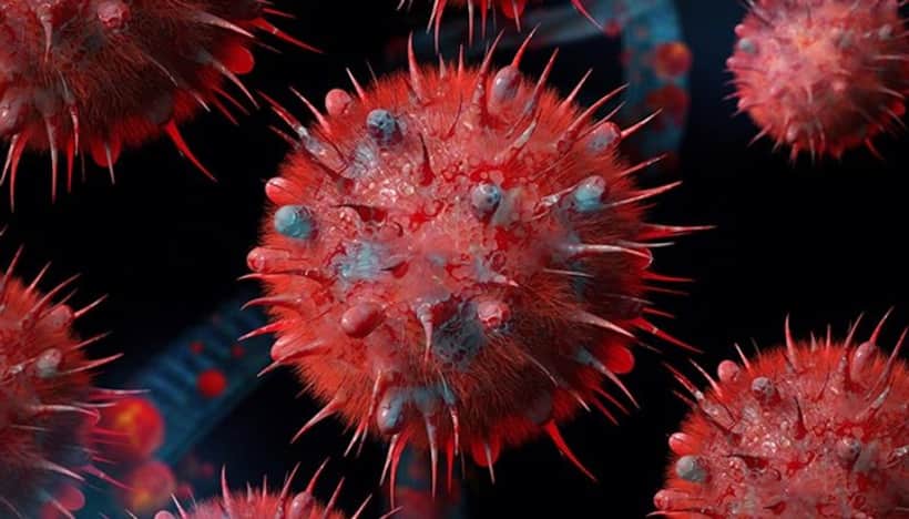 What's the difference between H3N2 and H1N1 viruses? Know symptoms and treatment of these viral infections