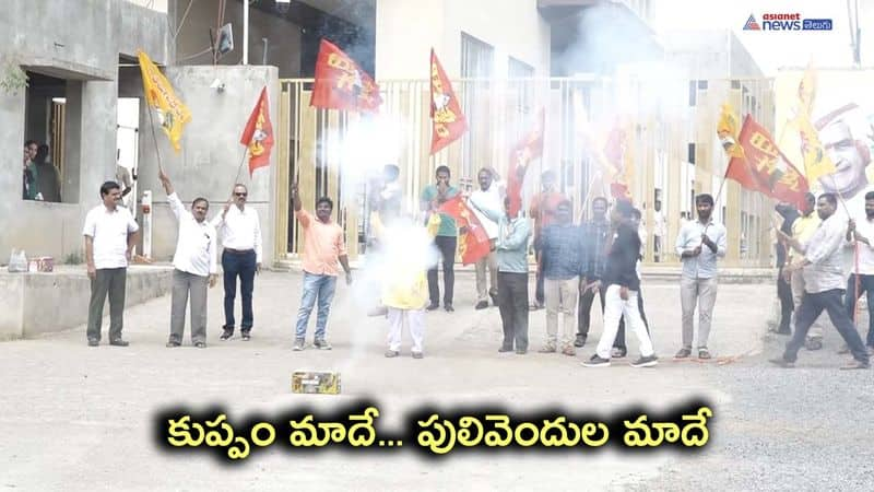 MLC Results Celebrations at Telugu Desam Party National Office 