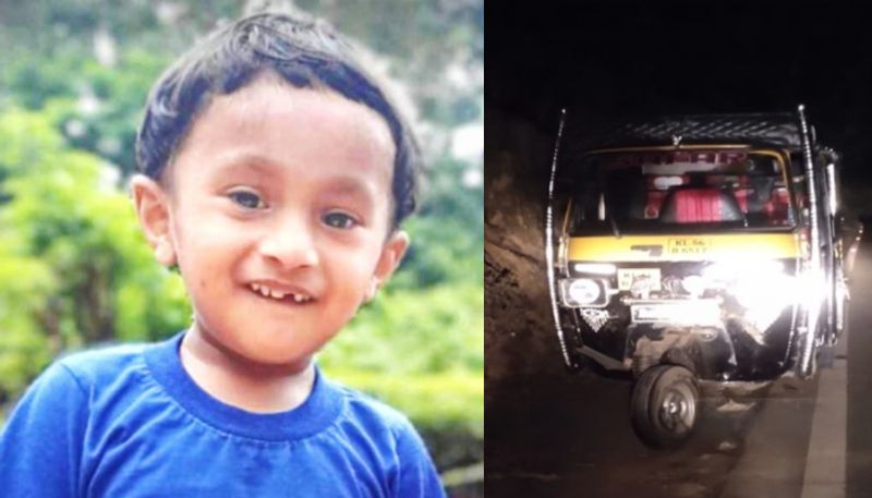 Four and  half year old boy dies after being hit by a pig in an auto rickshaw Wayanadu ppp