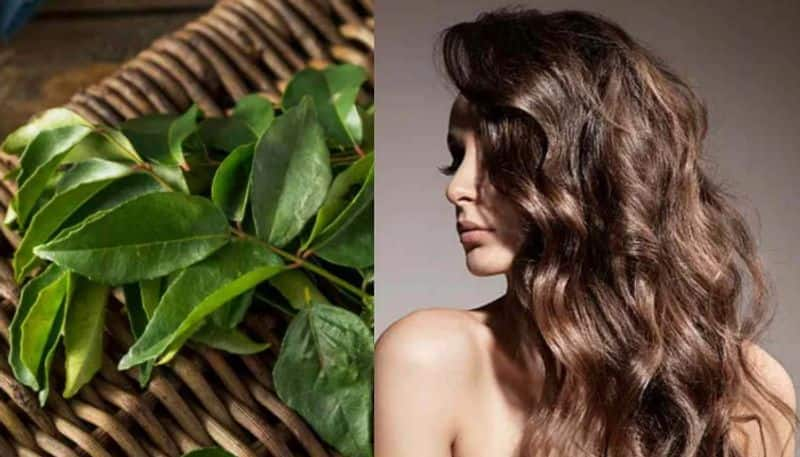 Curry leaves for hair care azn