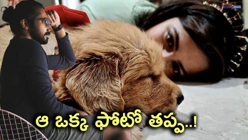 niharika konidela venkata chaitanya divorce rumours-know all the details