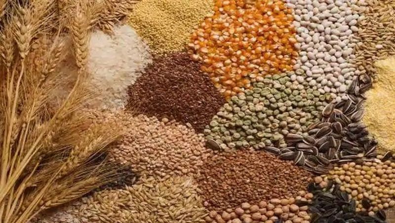 Mysuru : Sowing seeds, fertilizers, pesticides at discounted rates snr