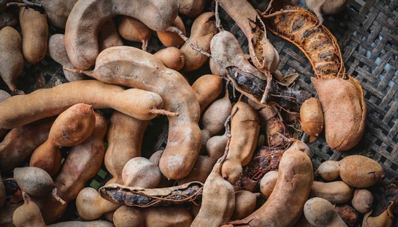 Explore the multiple health benefits of tamarind ADC EIA 