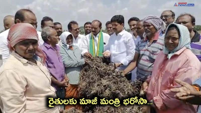 TDP Leader Kollu Ravindra inspects damaged crops in Machilipatnam