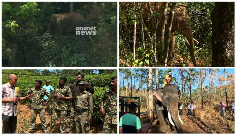 5 month old baby elephant handed over to Pomman Belli died