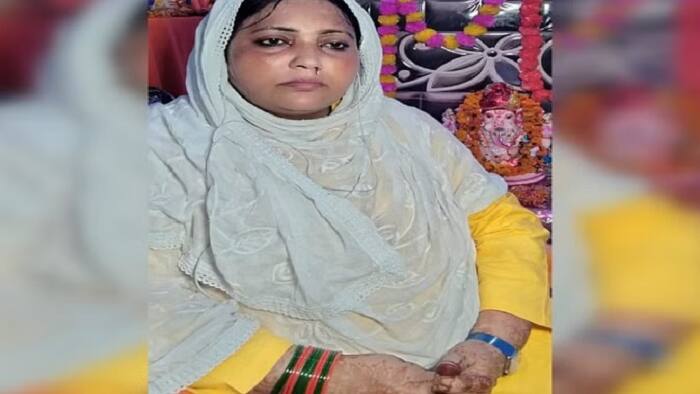aligarj 